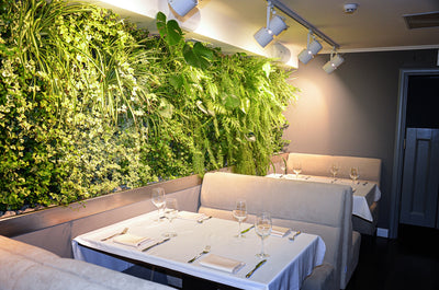 WHY YOU SHOULD INSTALL A GRASS WALL IN YOUR BAR